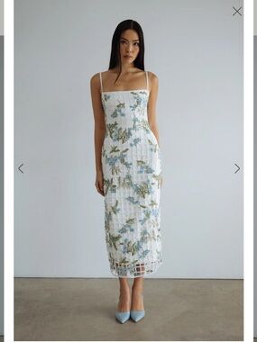 NWOT Jenny Yoo Capri Dress Size 12